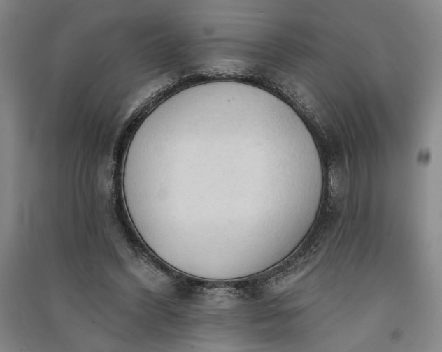 X0000091350396200708171436
