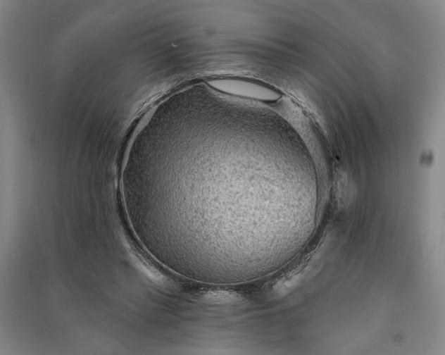 X0000091350397200708171436