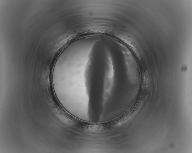 X0000091350398200708171436