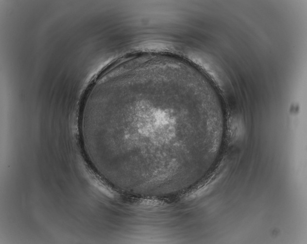X0000091350399200708171436