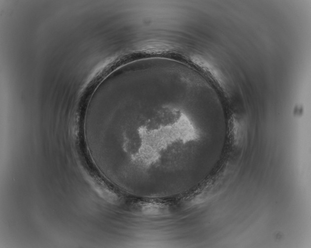 X0000091350400200708171436