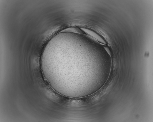 X0000091350401200708171436