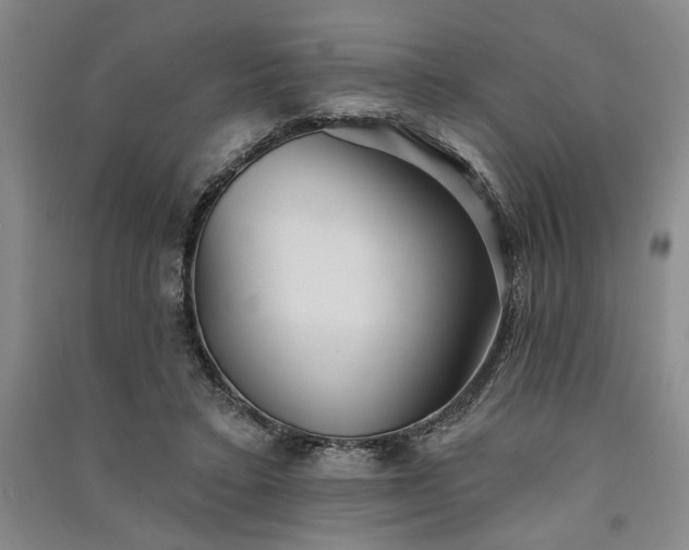 X0000091350403200708171436