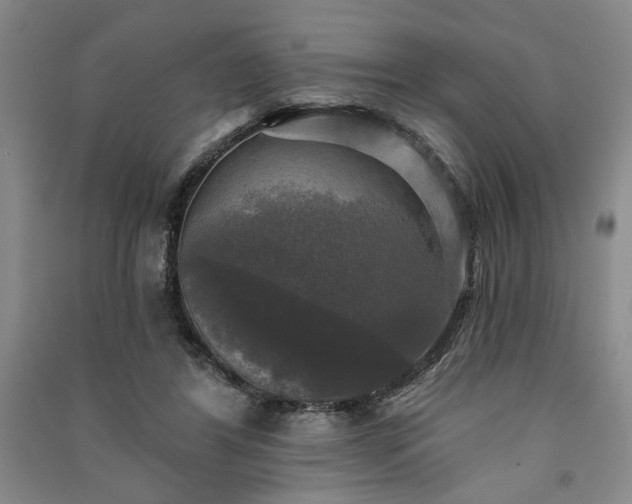 X0000091350404200708171436