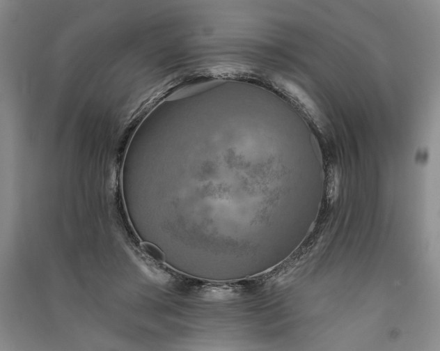 X0000091350405200708171436