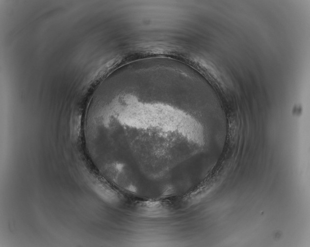 X0000091350406200708171436
