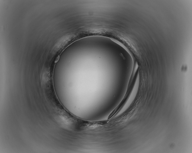 X0000091350407200708171436