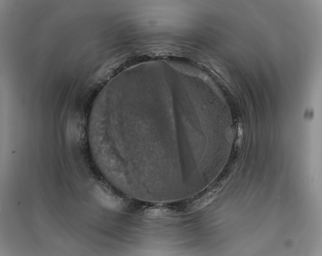 X0000091350408200708171436