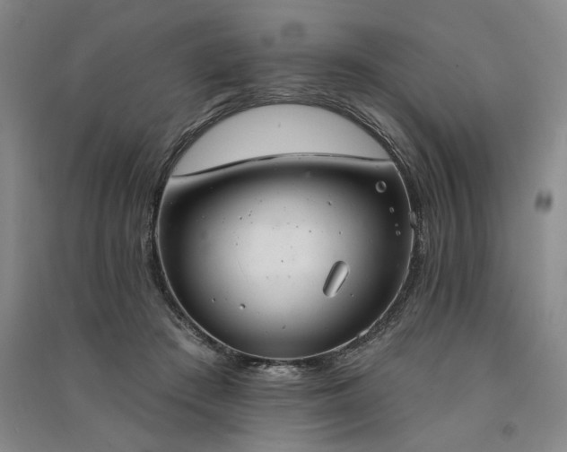 X0000091350409200708171436