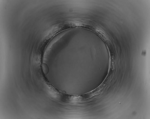 X0000091350410200708171435