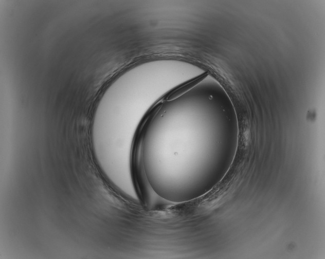 X0000091350411200708171435