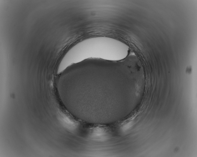 X0000091350412200708171435