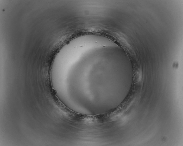 X0000091350415200708171435