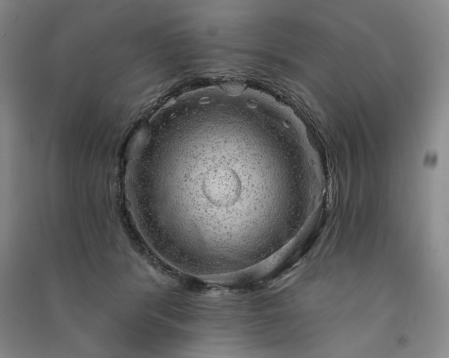 X0000091350416200708171435