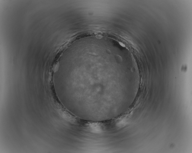 X0000091350417200708171435