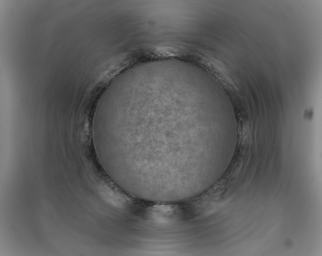 X0000091350418200708171435