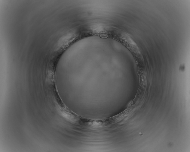 X0000091350419200708171435