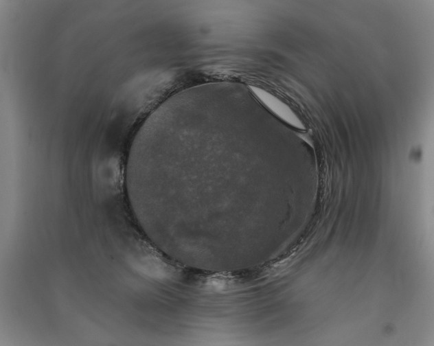 X0000091350420200708171435