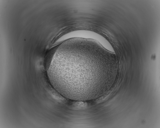 X0000091350421200708171435