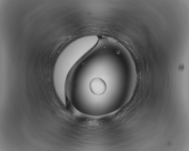 X0000091350423200708171435