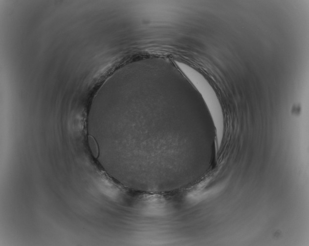 X0000091350424200708171435