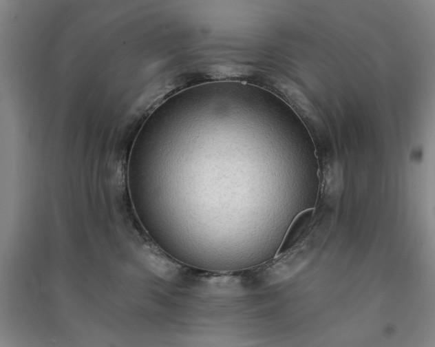 X0000091350426200708171435