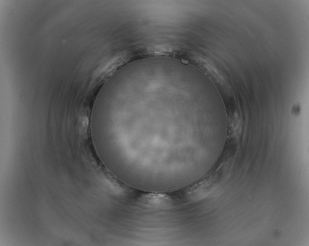 X0000091350427200708171435