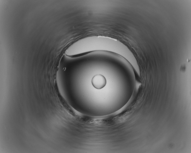 X0000091350428200708171435