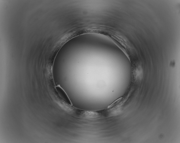X0000091350429200708171435
