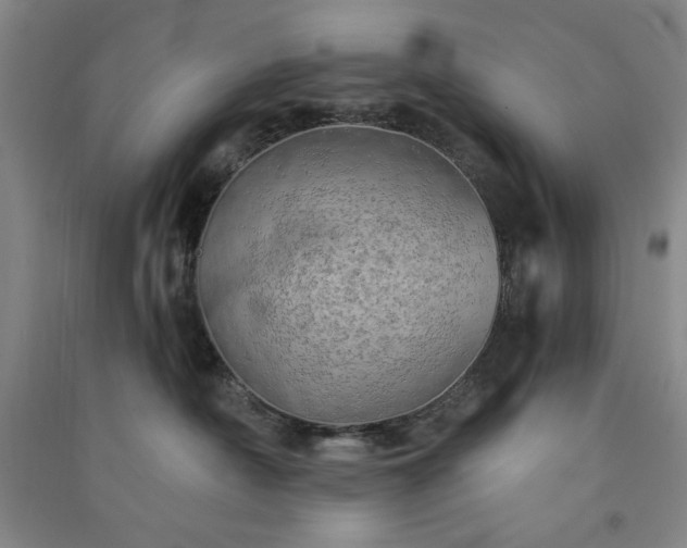 X0000091350430200708171435