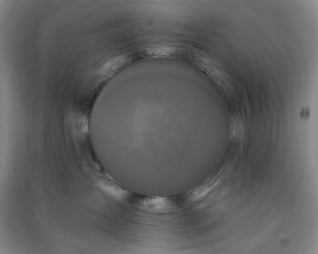 X0000091350431200708171435