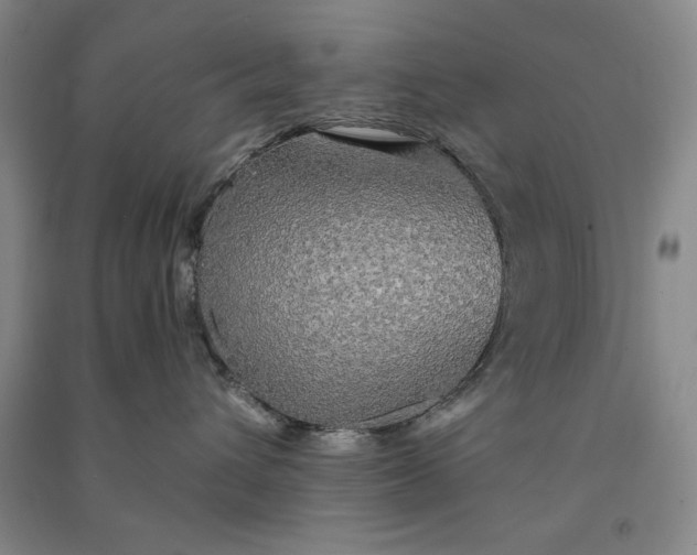 X0000091350432200708171435