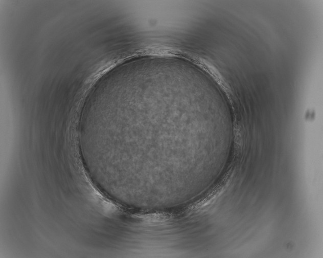 X0000091350433200708171435