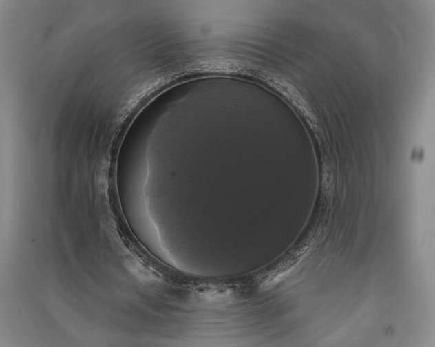 X0000091350434200708171435