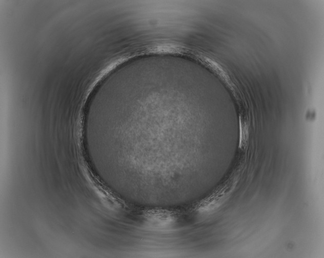 X0000091350435200708171435