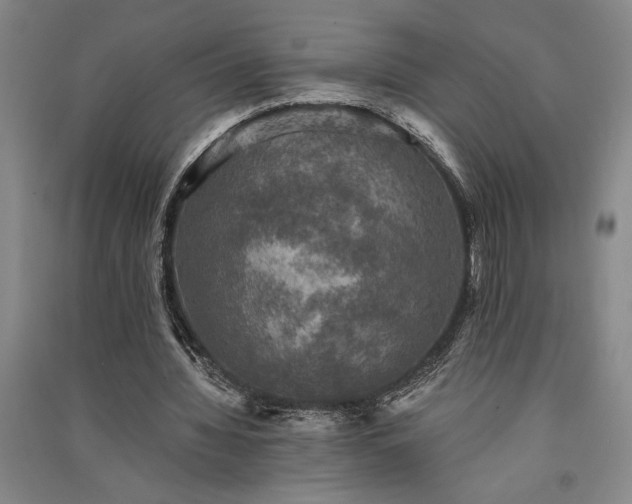 X0000091350436200708171435