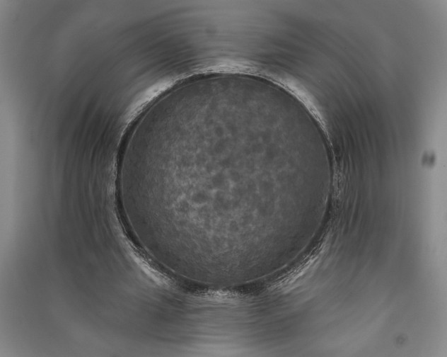 X0000091350437200708171435