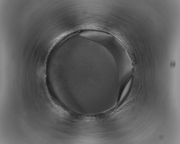 X0000091350438200708171435