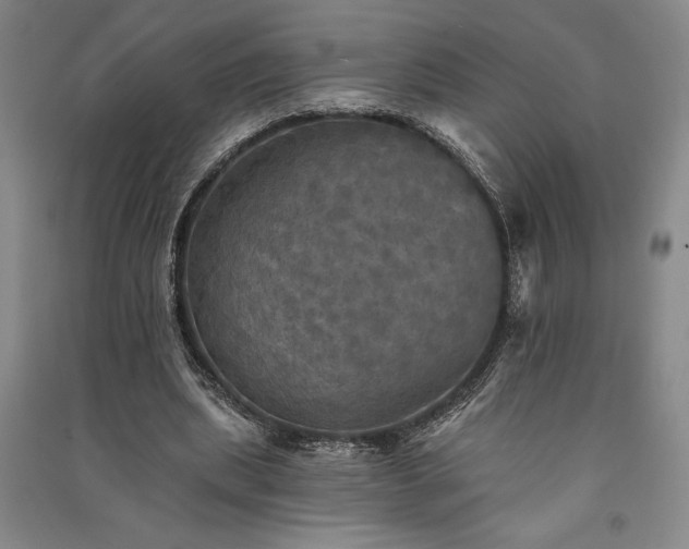 X0000091350439200708171435