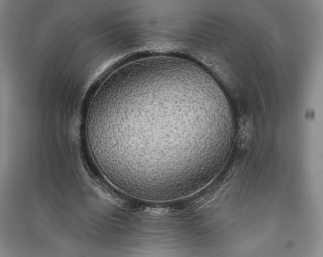 X0000091350440200708171435
