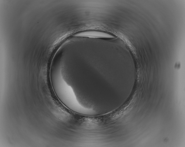X0000091350442200708171435