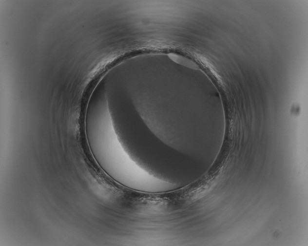 X0000091350443200708171435