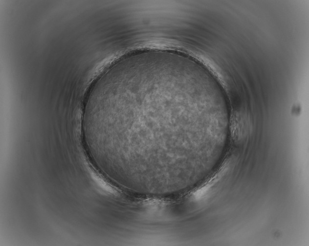 X0000091350445200708171435