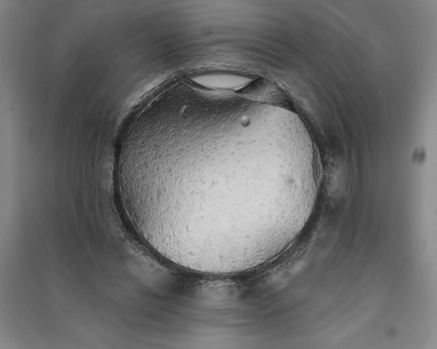X0000091350446200708171435
