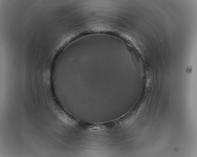 X0000091350447200708171435