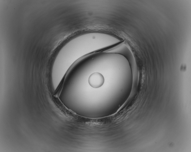 X0000091350448200708171435