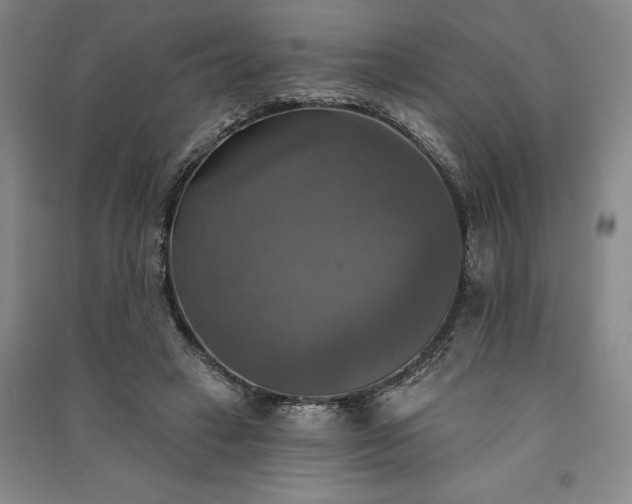 X0000091350449200708171435
