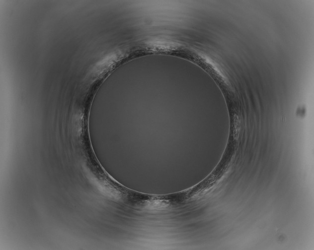 X0000091350451200708171435