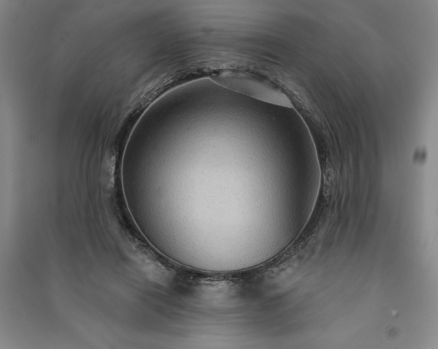 X0000091350454200708171435