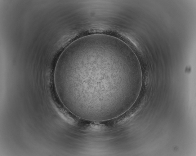 X0000091350455200708171435